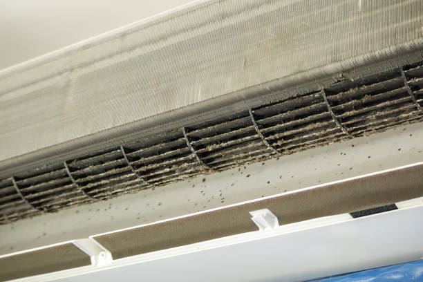 Best Affordable Air Duct Cleaning  in Columbiana, AL